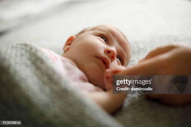 recién nacido bebé sosteniendo la madre de la mano - babe fotografías e imágenes de stock