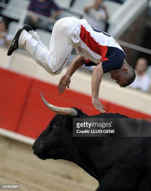 Recortador" jumps over a bull during a bullfight show at the Plaza Monumental bullring in Barcelona, on September 25, 2009. AFP PHOTO/LLUIS GENE