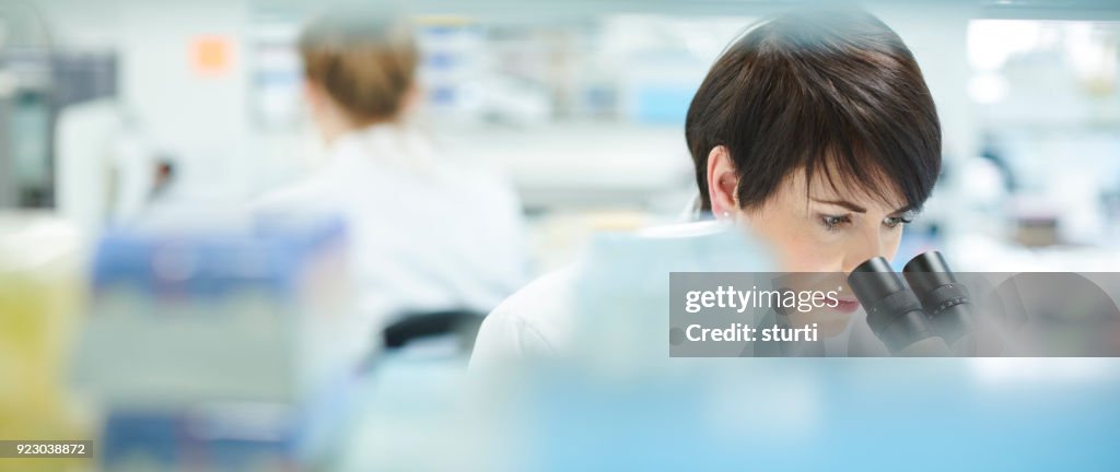 Mujer científico en un laboratorio ocupado