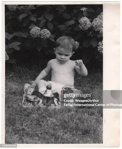 Baby boy in a diaper plays with a bell toy as he sits on the grass next to a hydrangea bush, New York, New York, 1940s.