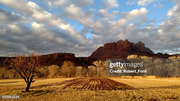 clouds clearing over dry winter pastures along grafton road below mt kinesava and backlit trees of the virgin river in rockville utah - ford contour stock pictures, royalty-free photos & images