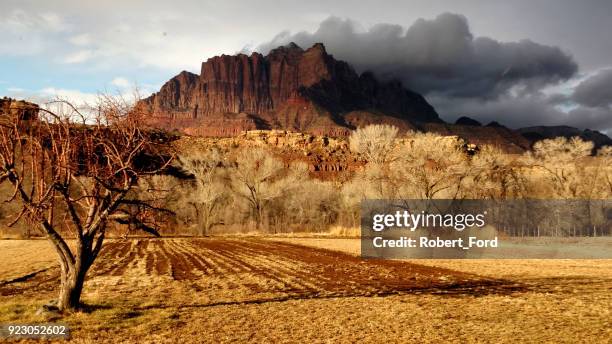 dramatic cloudscape and dry winter pastures along grafton road below mt kinesava and backlit trees of the virgin river in rockville utah - ford contour stock pictures, royalty-free photos & images