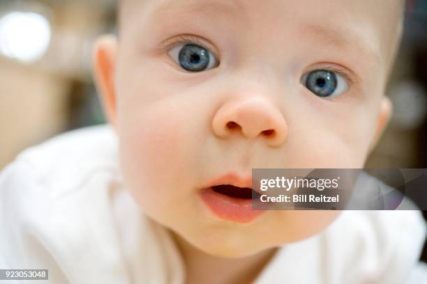 close ups of baby boy - corte madera stock pictures, royalty-free photos & images