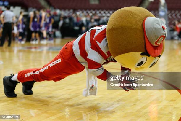 Ohio State mascot Brutus Buckeye does pushups during a timeout during the second half of a regular season Big 10 Conference basketball game between...