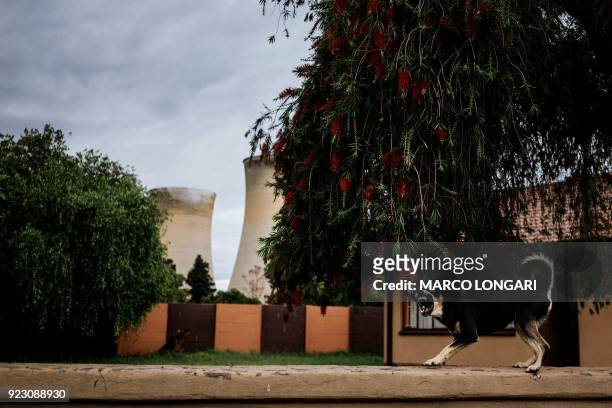 Dog barks from the perimeter wall of a house in the neighbourhood where employees of the Eskom Power Plant live in Hendrina on February 22, 2018. The...