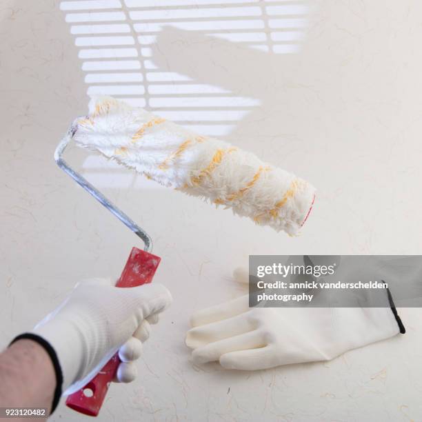 painting roller and painters gloves. - rampur bildbanksfoton och bilder