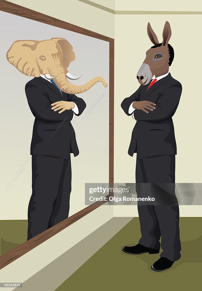 Reflection in the mirror