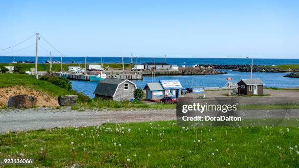 whale watching in nova scotia - estilos de vida stock pictures, royalty-free photos & images