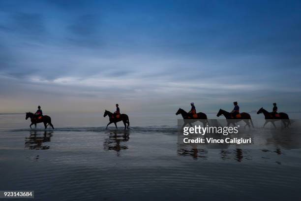 Kinky Boom and Oohood are seen at Altona Beach with other Tony McEvoy stable runners during a trackwork session at Altona Beach on February 23, 2018...