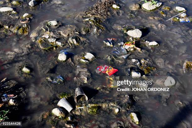 View of the pollution in Lake Atitlan in the highlands in Panajachel municipality, Solola department, 65 km west of Guatemala City, on February 15,...