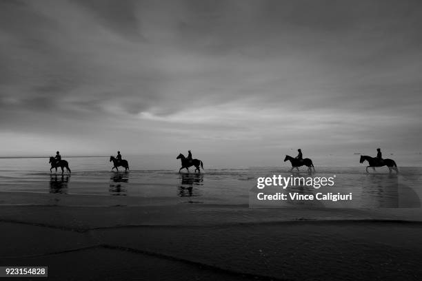 Kinky Boom and Oohood are seen at Altona Beach with other Tony McEvoy stable runners during a trackwork session at Altona Beach on February 23, 2018...