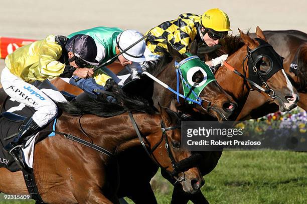 Nicholas Hall riding Lady Lynette wins the Independent Cranes Stakes during the 2009 Cox Plate Day meeting at Moonee Valley Racecourse on October 24,...