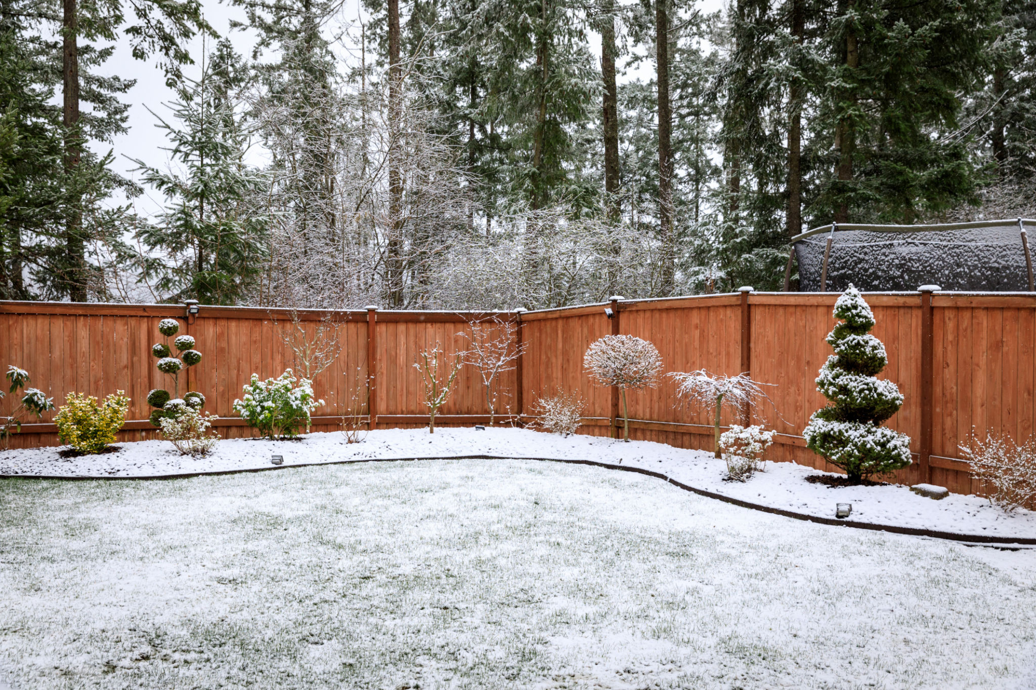 fence winter