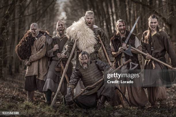 een schat van wapen zwaaiende bloedige viking krijgers op een winter slagveld forest - battlefield stockfoto's en -beelden