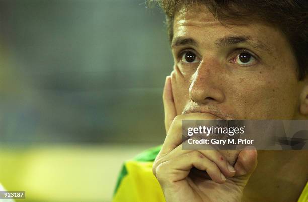 Portrait of Juninho Paulista of Brazil during the Germany v Brazil, World Cup Final match played at the International Stadium Yokohama, Yokohama,...