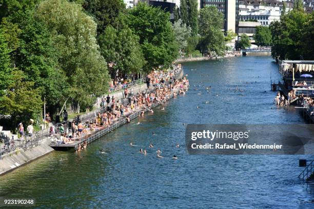 zurich limmat with swimming people - limmat river stock pictures, royalty-free photos & images