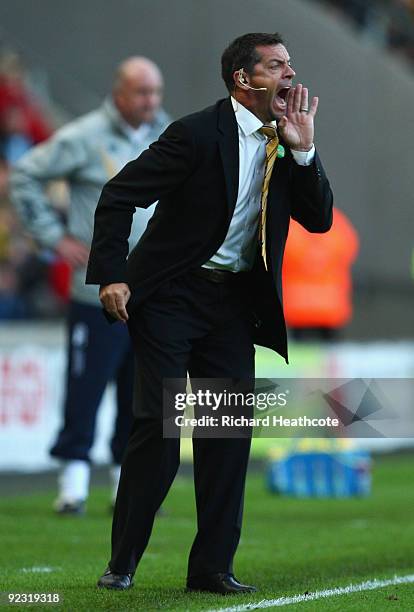 Hull City Manager Phil Brown shouts instructions during the Barclays Premier League match between Hull City and Portsmouth at KC Stadium on October...