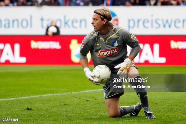 Timo Hildebrand of Hoffenheim reacts after a save during the Bundesliga match between 1899 Hoffenheim and 1. FC Nuernberg at the Rhein-Neckar Arena...