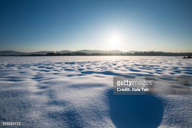 winter wonderland in hokkaido, - winter wonder land ストックフォトと画像