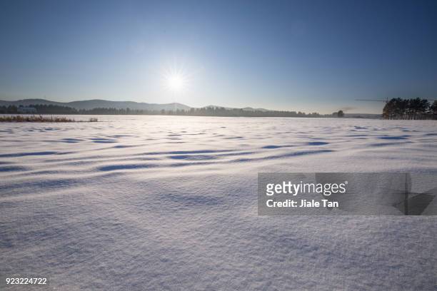 winter wonderland in hokkaido, - winter wonder land ストックフォトと画像