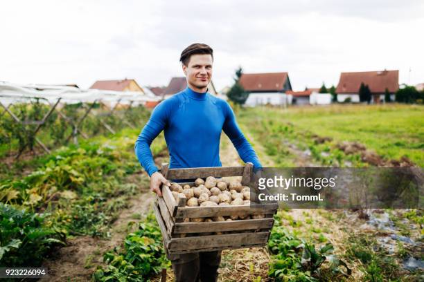 Portrait Of Young Urban Farmer Displaying Yield Of Potatoes