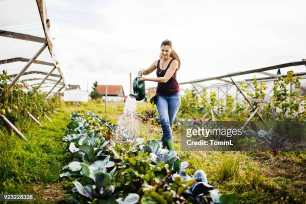 Young Urban Farmer Watering Organic Crops By Hand
