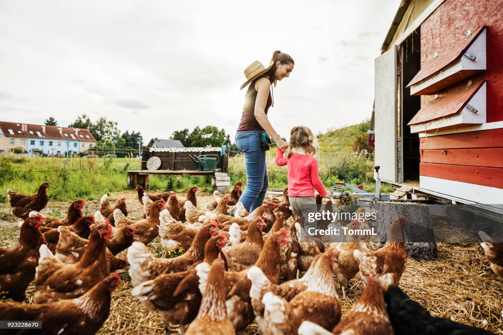 Young Girl Having Fun Taking Care Of Chickens With Mother