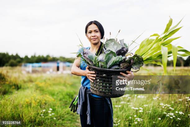 Portrait Of Farmer Holding Basket Of organic Vegetables