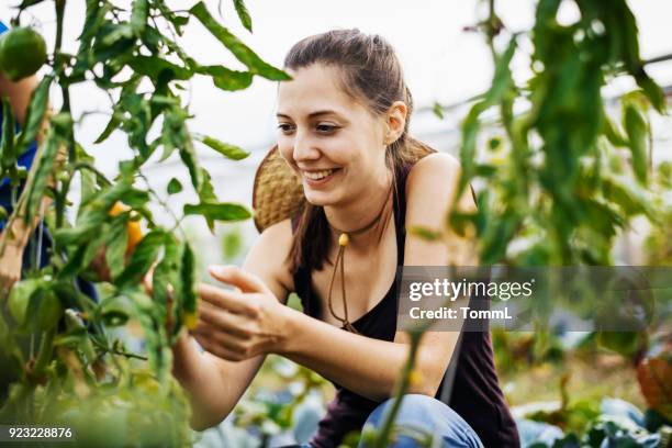 städtischen junglandwirt lächelnd bei der ernte von obst und gemüse - urban gardening stock-fotos und bilder