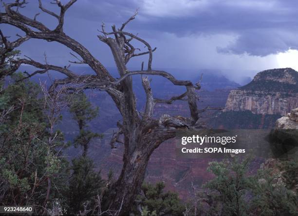 Storm seen coming on the North Rim. The North Rim of the Grand Canyon National Park is different from the South Rim. The visitor Centers are five...