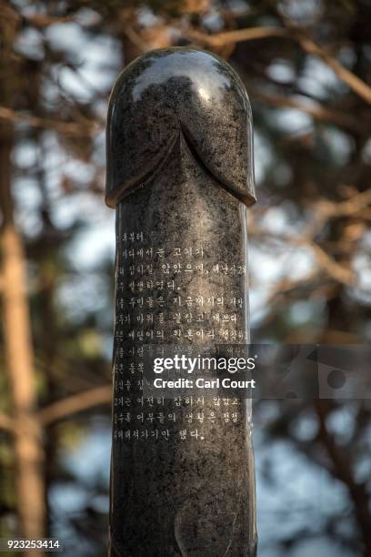 An inscription is carved into a phallic statue is displayed in Haesindang Park, informally known as 'Penis Park', on February 23, 2018 in Samcheok,...