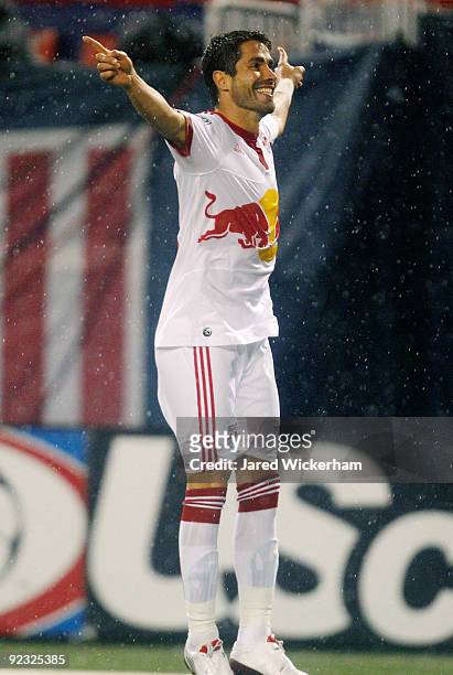 Juan Pablo Angel of the New York Red Bulls celebrates after scoring a goal in the first half against the Toronto FC during the game on October 24,...