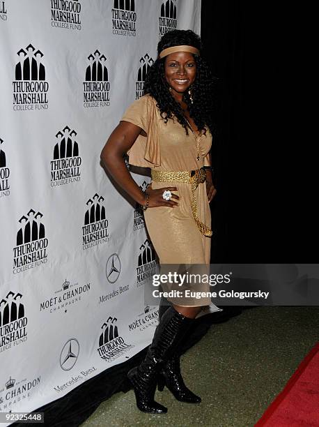 Abiola Abrams attends the 4th Annual Thurgood Marshall College Fund fashion show at the Roseland Ballroom on October 24, 2009 in New York City.