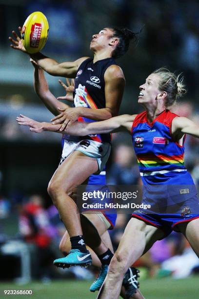 Darcy Vescio of the Blues takes a mercurial one handed mark during the round four AFLW match between the Western Bulldogs and the Carlton Blues at...