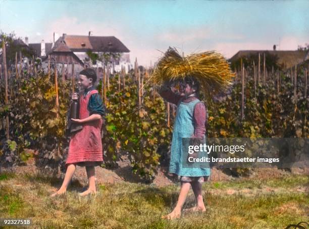 Children aiding with the vintage. Lower Austria. Hand-colored lantern slide. Around 1915.