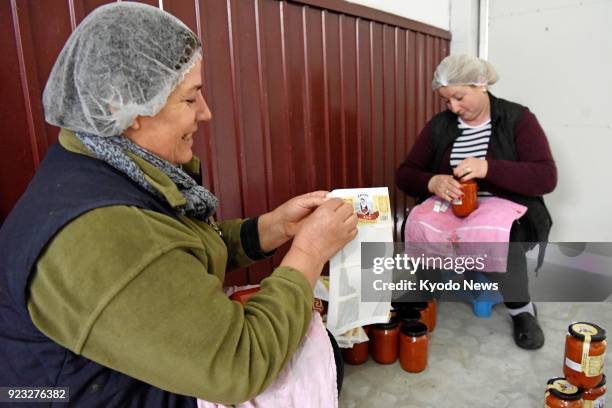 Photo taken in Krushe e Madhe, southwestern Kosovo, on Feb. 19, 2018 shows women labeling jars of red pepper paste produced by a local cooperative....