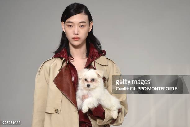 Model carrying a dog presents a creation by Tod's during the women's Fall/Winter 2018/2019 collection fashion show in Milan, on February 23, 2018. /...