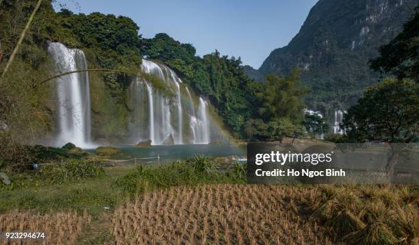 ban gioc waterfall - detian waterfall ban gioc waterfall is the most magnificent waterfall in vietnam, located in dam thuy commune, trung khanh district, cao bang - detian waterfall stock pictures, royalty-free photos & images
