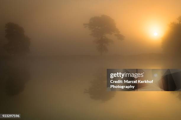 pond at sunrise with mist - kerkhof stock-fotos und bilder