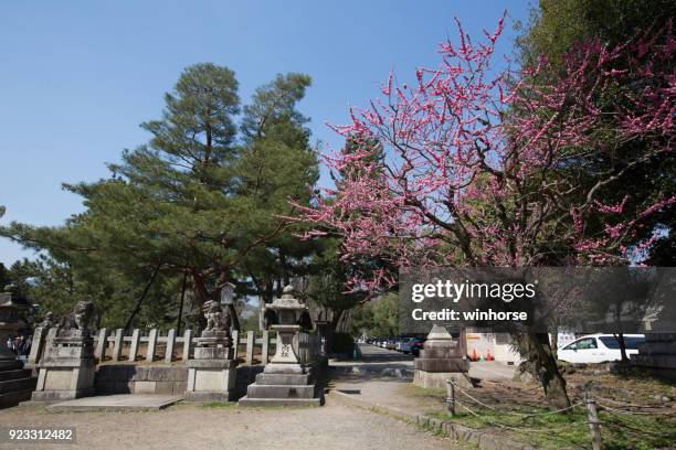 kitano tenmangu shrine in kyoto, japan - tenmangu shrine stock pictures, royalty-free photos & images