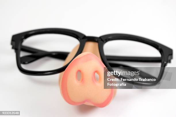 pig nose glasses - animal nose foto e immagini stock