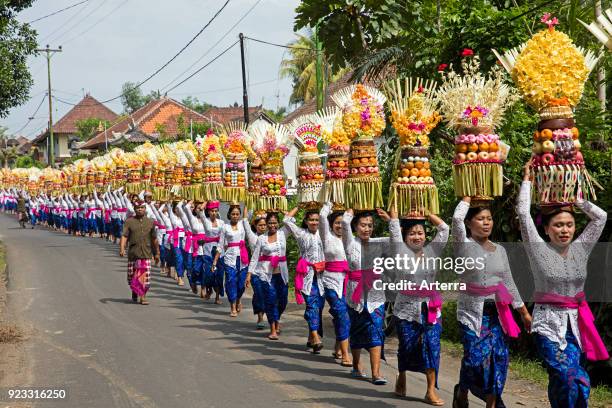 Procession of traditionally dressed women carrying temple offerings - gebogans on their head near Ubud, Gianyar regency on the island Bali, Indonesia.