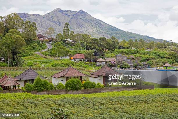 Rural village at the foot of Mount Batur - Gunung Batur, active volcano in the Bangli Regency, Bali, Indonesia.