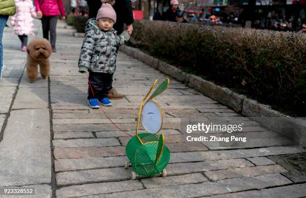 Boy pulls his little bunny lantern walking in the way to the lantern festival. The 32th Nanjing Qinhuai Lantern Festival are held from Feb.11 to...