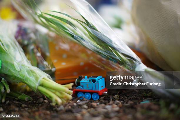 Toy Thomas the Tank Engine sits amongst tributes left near the scene where two brothers aged six and two died after a suspected hit-and-run car crash...