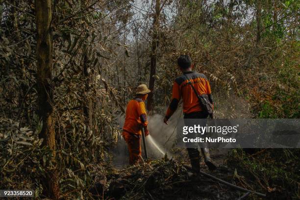 Firefighters trying to extinguish a forest fire on February 23, 2018 in Pekanbaru,Riau Province, Indonesia Indonesia has struggled for years to...