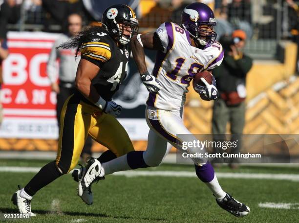 Sidney Rice of the Minnesota Vikings runs with a catch against Troy Polamalu of the Pittsburgh Steelers at Heinz Field on October 25, 2009 in...