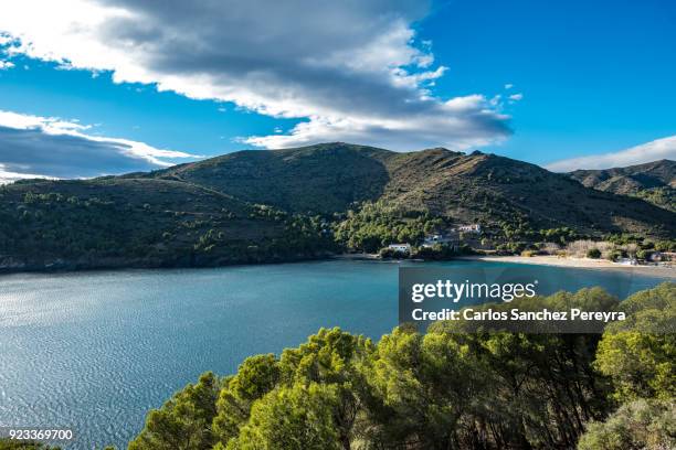 coastline landscape in costa brava - rosa rock stock pictures, royalty-free photos & images