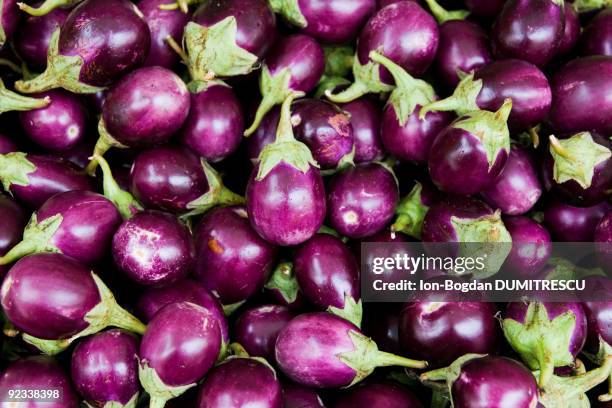 baby aubergine - italienische aubergine stock-fotos und bilder