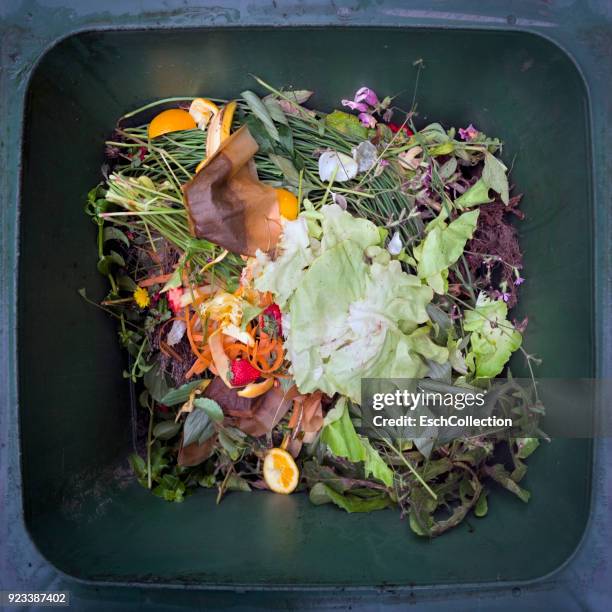 colorful recycling still of recycling bin viewed from above - rind stock pictures, royalty-free photos & images